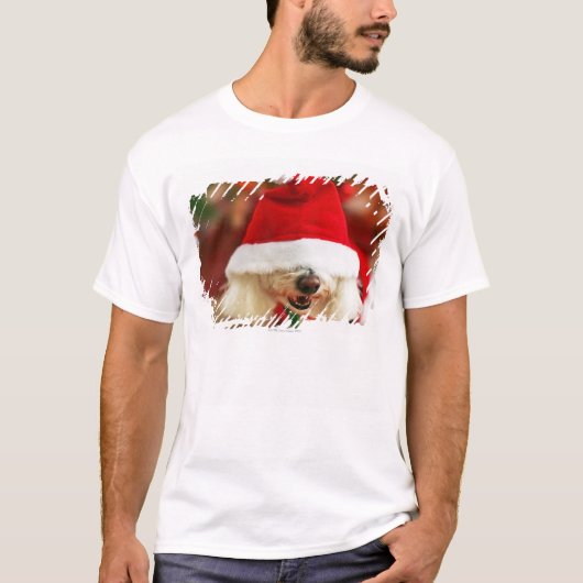 サンタの衣裳を身に着けているBichon Friseの子犬 Tシャツ (正面)