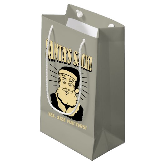 サンタの袋：Yes、サイズ スモールペーパーバッグ (正面アングル)