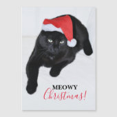 サンタの赤い帽子を持つ猫 (正面)