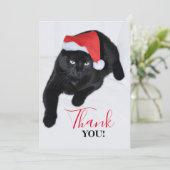 サンタの赤い帽子を持つ黒猫 サンキューカード (スタンド正面)