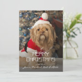 サンタの足からのメリークリスマス シーズンカード (スタンド正面)