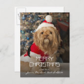 サンタの足からのメリークリスマス シーズンポストカード (正面/裏面)