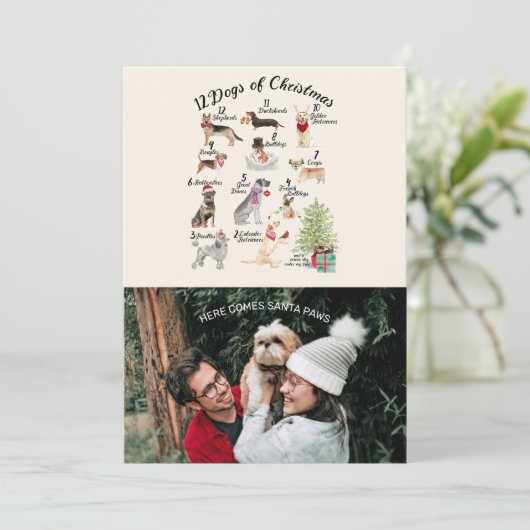 サンタの足を搭載するクリスマスの写真12犬のクリスマス カード (スタンド正面)