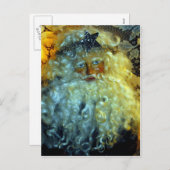 サンタの顔 シーズンポストカード (正面/裏面)