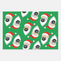 サンタはサイライトアウトタ検疫