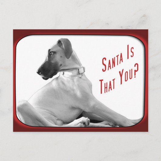 サンタは君 シーズンポストカード (正面)