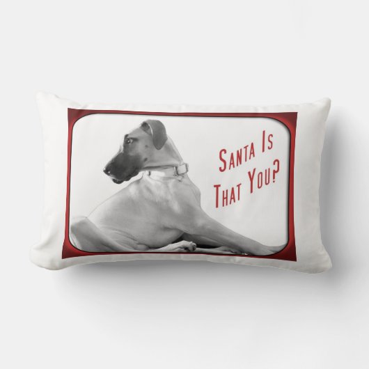サンタは君 ランバークッション (正面)
