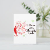 サンタは女の子を皆知っいけなている シーズンポストカード (スタンド正面)