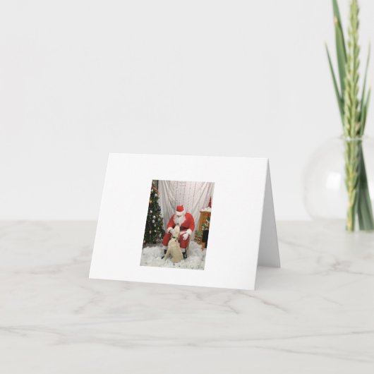 サンタは子犬からの願い サンキューカード (正面)