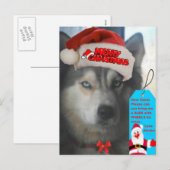 サンタへのハスキークリスマスの願い シーズンポストカード (正面/裏面)
