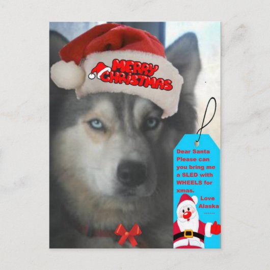 サンタへのハスキークリスマスの願い シーズンポストカード (正面)