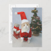 サンタぽっちゃりした猫 シーズンポストカード (正面/裏面)