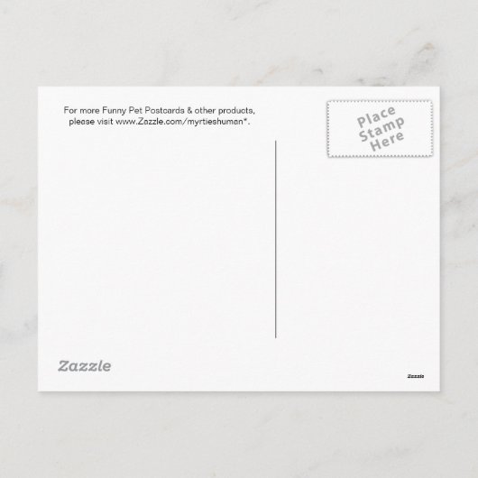 サンタぽっちゃりした猫 シーズンポストカード (裏面)