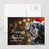 サンタを待っているクリスマス犬 シーズンポストカード (正面/裏面)