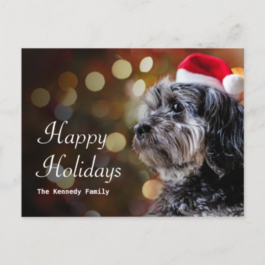 サンタを待っているクリスマス犬 シーズンポストカード (正面)