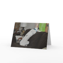 サンタを待っている