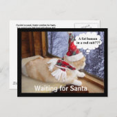 サンタを待っている シーズンポストカード (正面/裏面)