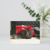 サンタを待っている シーズンポストカード (スタンド正面)