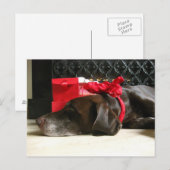 サンタを待っている シーズンポストカード (正面/裏面)