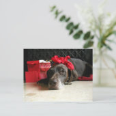 サンタを待っている シーズンポストカード (スタンド正面)