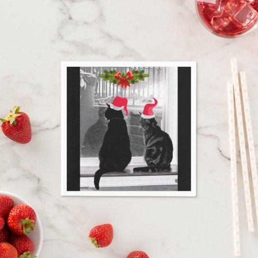 サンタを待っている スタンダードカクテルナプキン (インサイチュ)