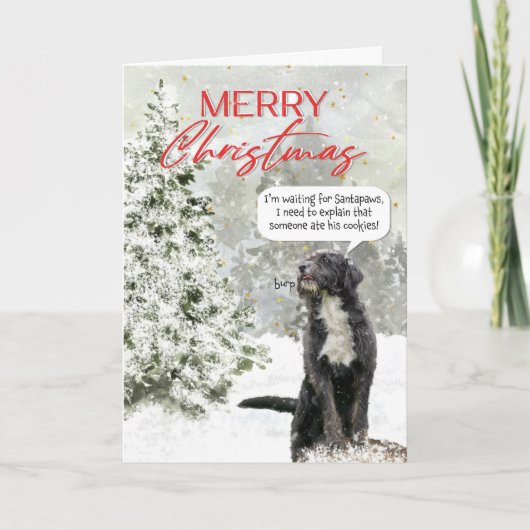 サンタを待つ犬 楽しいクリスマスカード シーズンカード (正面)