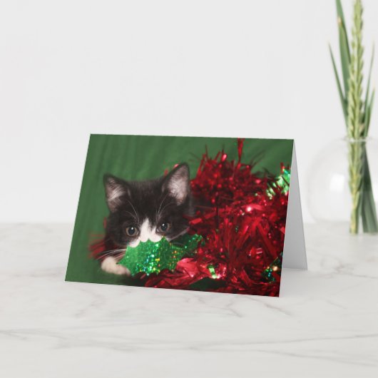 サンタを見る シーズンカード (正面)