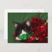 サンタを見る シーズンポストカード (正面/裏面)