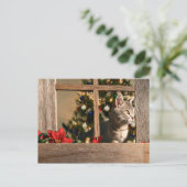 サンタを見る シーズンポストカード (スタンド正面)