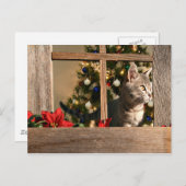 サンタを見る シーズンポストカード (正面/裏面)