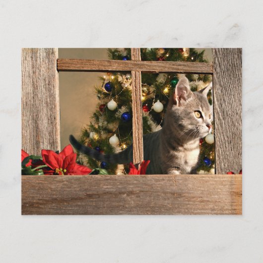 サンタを見る シーズンポストカード (正面)