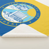 サンタアナ州旗（カリフォルニア州） シェルパブランケット (3/4)