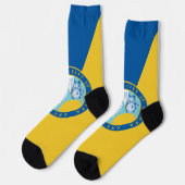 サンタアナ州旗 ソックス (左)