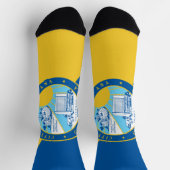 サンタアナ州旗 ソックス (上部)