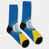 サンタアナ州旗 ソックス (右)