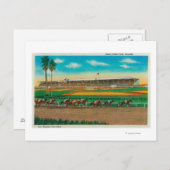 サンタアニタパークホースレースアルカディア(カリフォルニア州) ポストカード (正面/裏面)