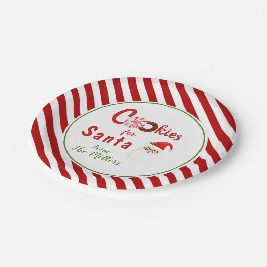 サンタウォーター用かわいいクッキー ペーパープレート (アングル)