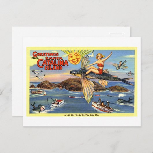 サンタカタリナ島からのヴィンテージの挨拶 ポストカード (正面/裏面)