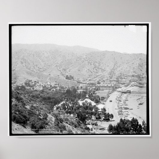 サンタカタリナ島アバロンc1903 ポスター (正面)