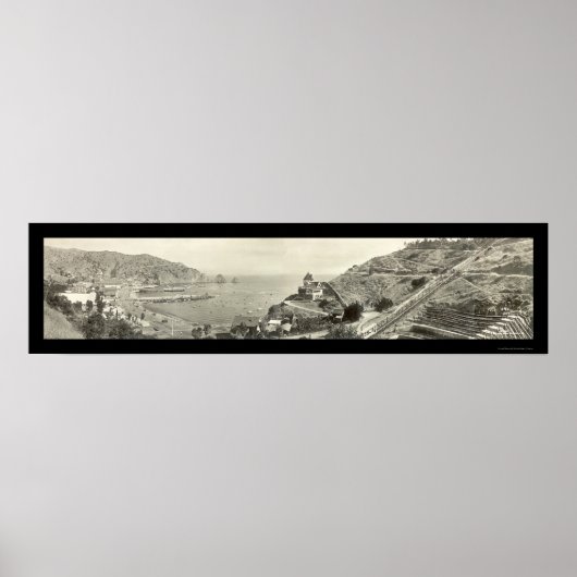 サンタカタリナ島写真1914 ポスター (正面)