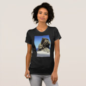 サンタカタリナ島 Tシャツ (正面フル)