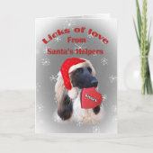 サンタカードから愛のアフガン人のねたみ シーズンカード (正面)