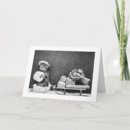 サンタキャットスティルイメージ(1914)クリスマス シーズンカード