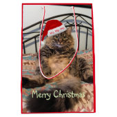 サンタキャットホホホホホホミディアム抱き枕 ミディアムペーパーバッグ (正面)