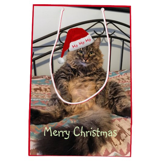 サンタキャットホホホホホホミディアム抱き枕 ミディアムペーパーバッグ (裏面)