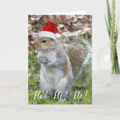 サンタキャップを着たかわいいリス シーズンカード (正面)
