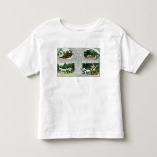 サンタクララCoの景色の眺めは上がりました トドラーTシャツ