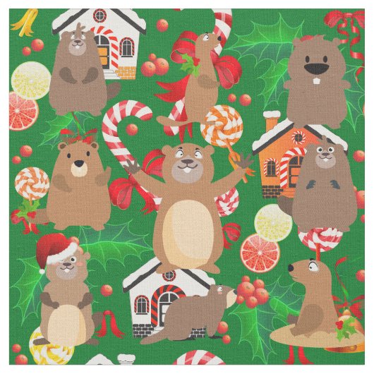 サンタクリスマスゴーパー生地 ファブリック (クローズアップ)