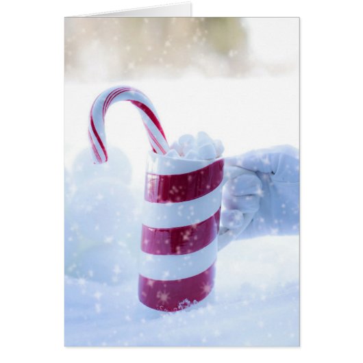 サンタクリスマス (正面)