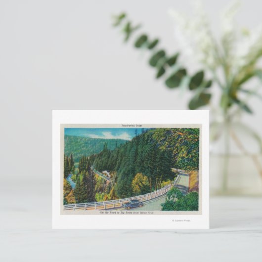 サンタクルーズからビッグツリーへ向かう道のり ポストカード (スタンド正面)